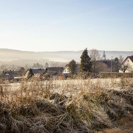 Ferienwohnung Bergaecker Neualbenreuth Kültér fotó
