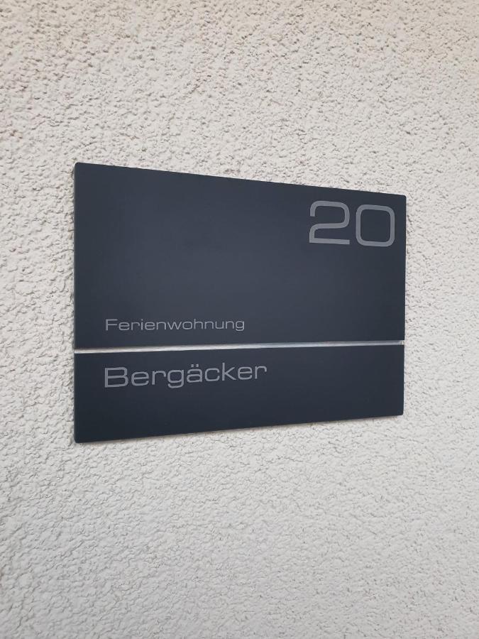 Ferienwohnung Bergaecker Neualbenreuth Kültér fotó
